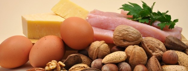 All About Protein