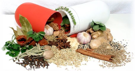 Award Winning Aromatic Plants